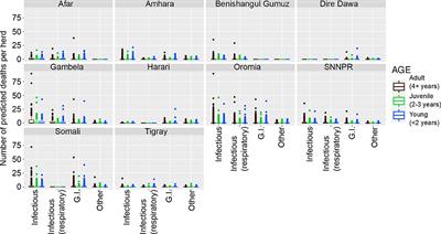 Patterns of mortality in domesticated ruminants in Ethiopia